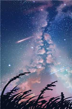 灼灼其鸢沈鸢裴聿辞全文免费