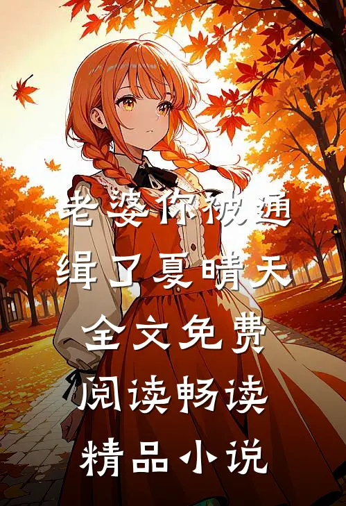 老婆你被通缉了夏晴天全文免费阅读畅读精品小说