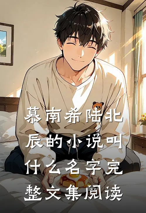 慕南希陆北辰的小说叫什么名字完整文集阅读