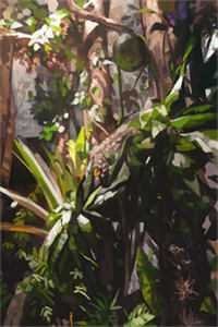 妈妈离婚后成钓系美强惨秦非高洁全文