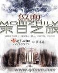 戏剧性闪婚，我们初见就领证！后续+番外篇