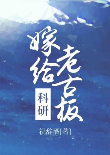 完整文集七零年代我成了厂长家的小娇妻