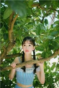 丁克六年后，我离婚了爽文