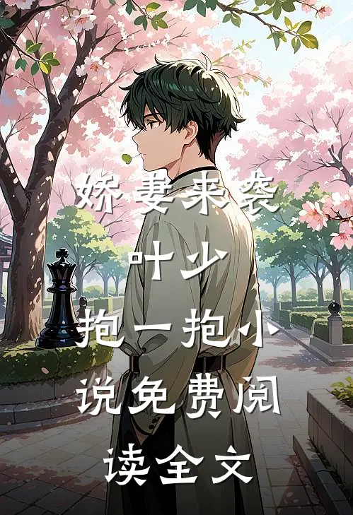 娇妻来袭叶少,抱一抱免费阅读全文无弹窗