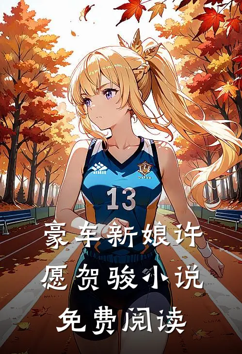 豪车新娘许愿贺骏小说免费阅读