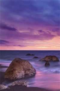 枯木逢春我逢你完整文集阅读