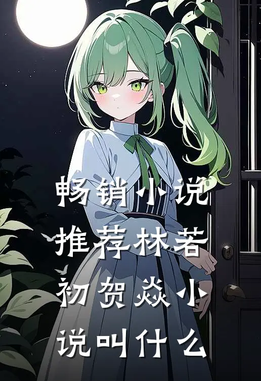 畅销小说推荐林若初贺焱小说叫什么