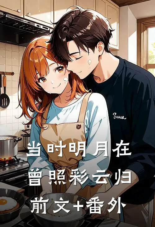 当时明月在，曾照彩云归前文+番外