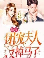 全本阅读新婚之夜，醒来就要休妻？