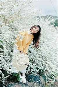 花开京港秦晚傅无妄后续+完结